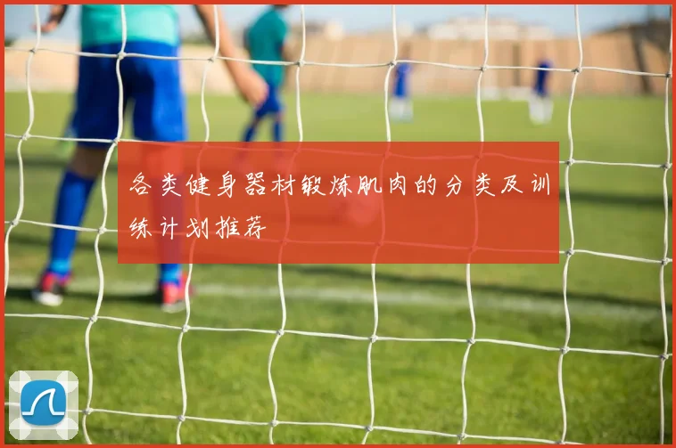 各类健身器材锻炼肌肉的分类及训练计划推荐