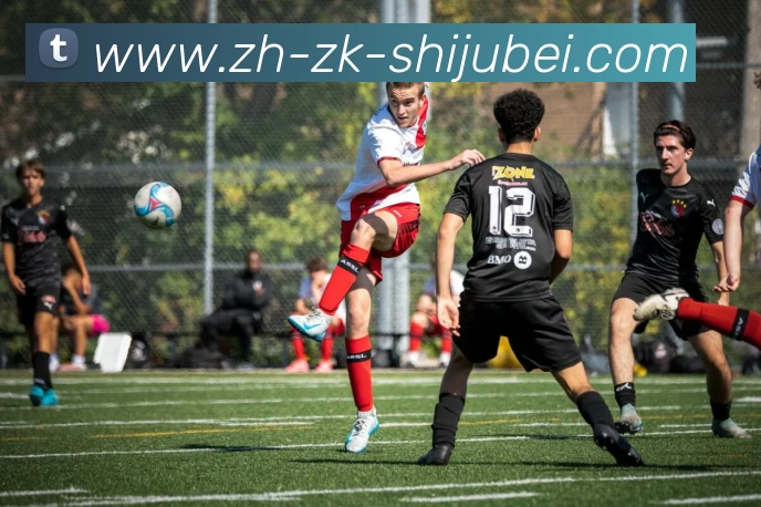 世界杯赛程表平台生态图