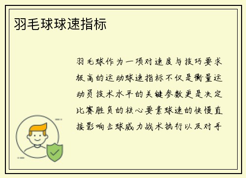 羽毛球球速指标
